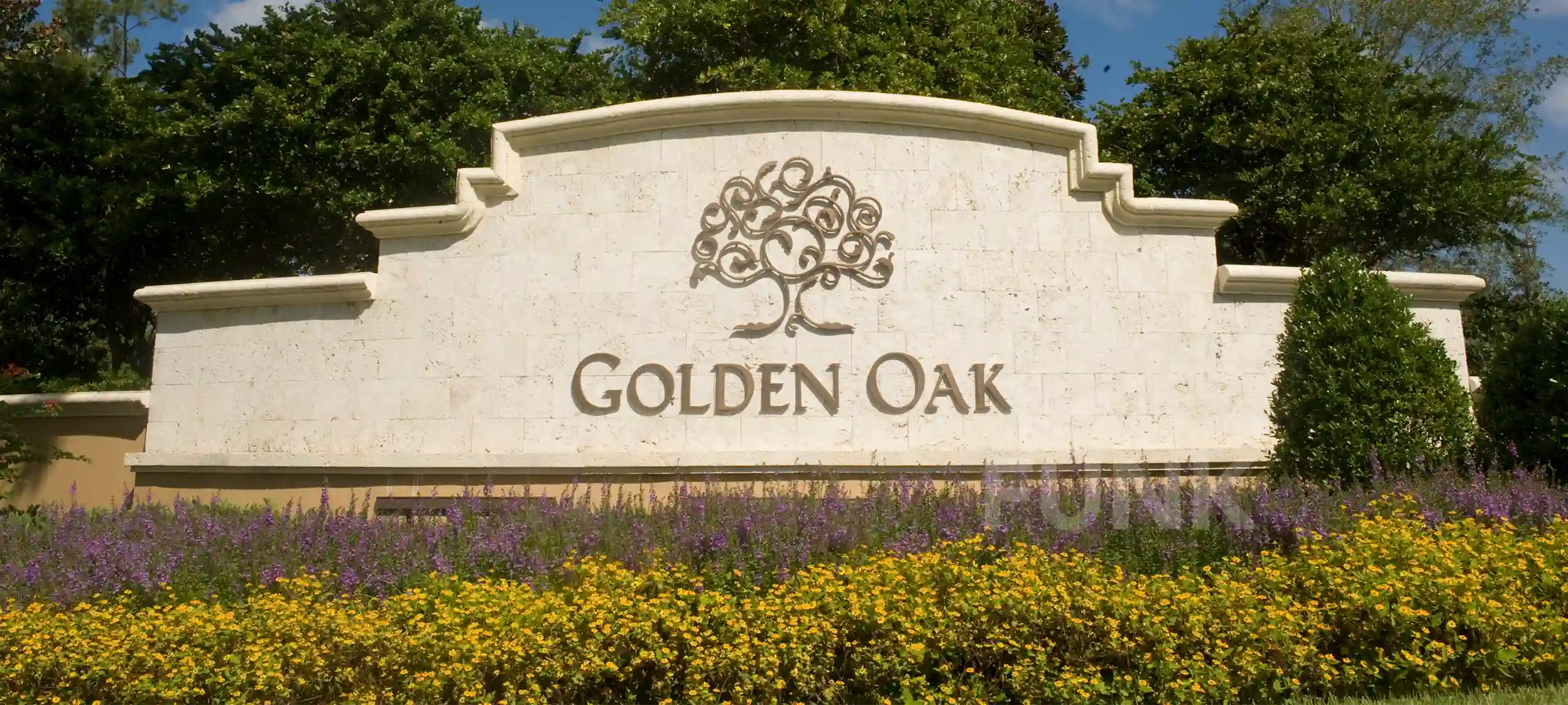 Disney's Golden Oak Homes